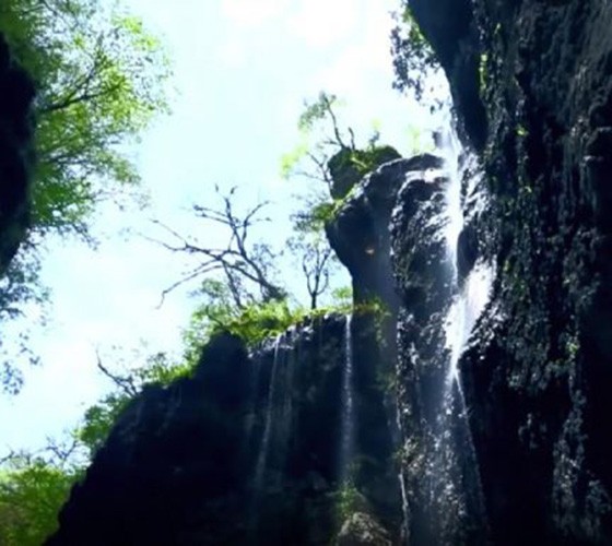 青山綠水，白龍江畔江畔息白鷺，兩岸綠橄欖入眼的都是純樸自然枝上花開(kāi)，春來(lái)水暖魚(yú)蝦戲水，鳥(niǎo)語(yǔ)花香心中充滿(mǎn)著舒暢之感祥宇生態(tài)產(chǎn)業(yè)園，位于隴南市武..